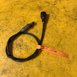 Sonde Echappement