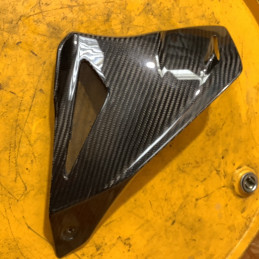 Ecope gauche carbon