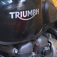 Pièces motos Triumph, occasion, pas cher